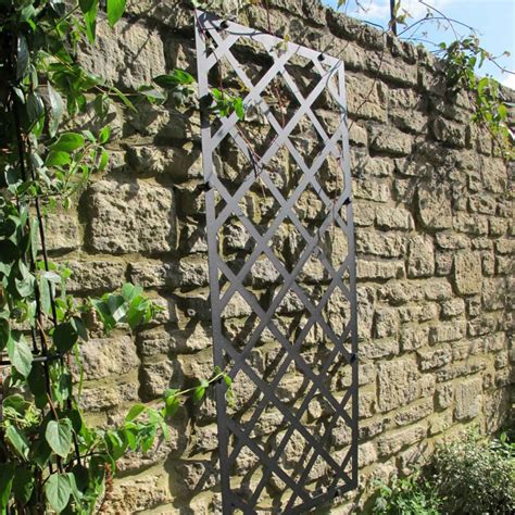 trellis.law .